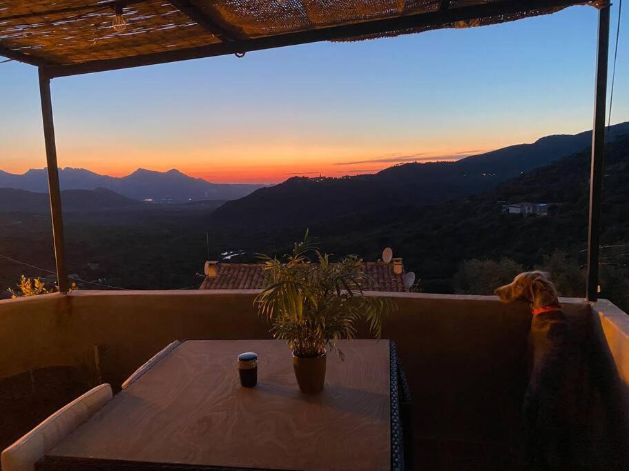 Maison De Caractere, Zilia, Au Pied Du Montegrossu Exteriér fotografie